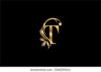 T.Gold Vicenza 2027