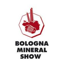 Bologna Mineral Show Casalecchio di Reno 2027